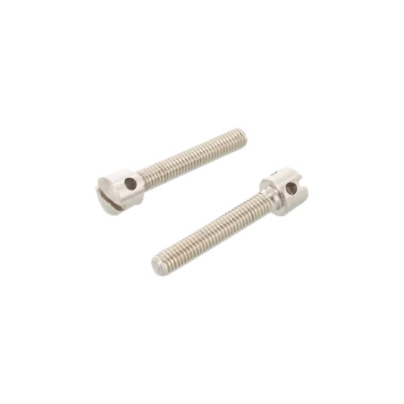 1 x Metalen schroeven cilindrische kop geboord in kruis 4 gaten RVS A1 3X8 microschroeven