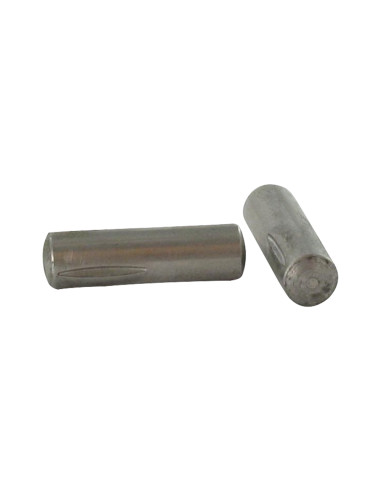 1 x Splitpen CANELEE 2,5X9 RVS