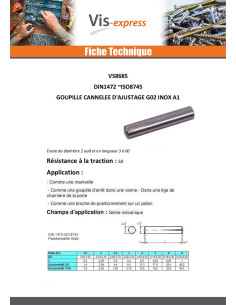 Gegroefde stelpin G02 RVS A1 5X10 2