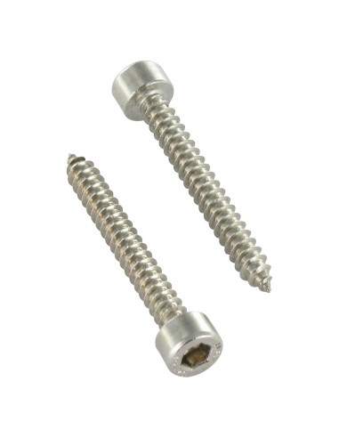 1 x Metaalplaatschroef CHC BTR RVS A2 4.8X38