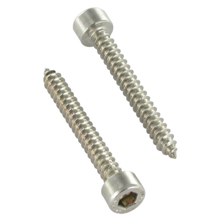 1 x Metaalplaatschroef CHC BTR RVS A2 4.8X19