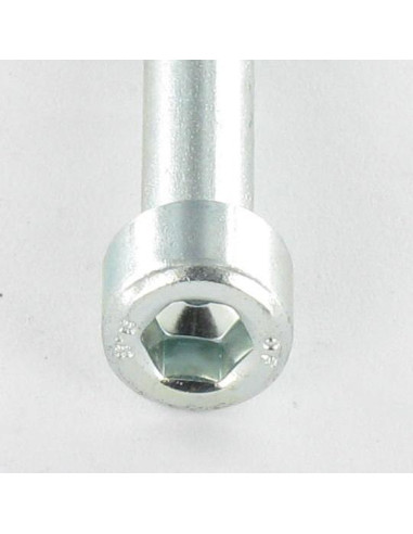 1 x Metalen schroeven CHC BTR M10X80 bedraad op...