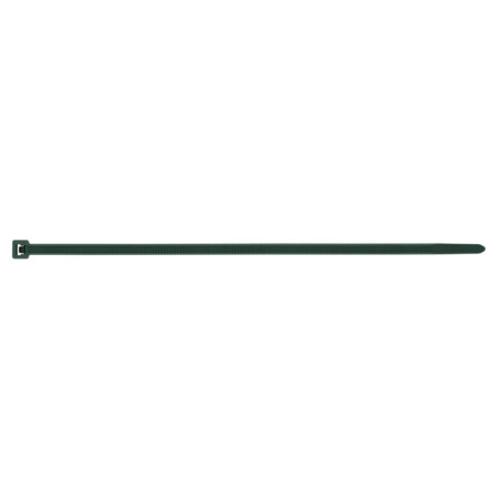 1 x Slangenklem RVS Nylon Groen 4.8X200