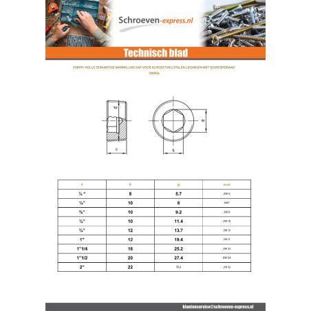 1 x Holle zeskantige mannelijke schroefplug 8X5.7 SW5 1/8" RVS A2