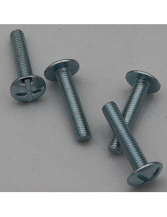 Zakje 4 Metalen schroeven Bolkop breed rond M8X40 Wit...