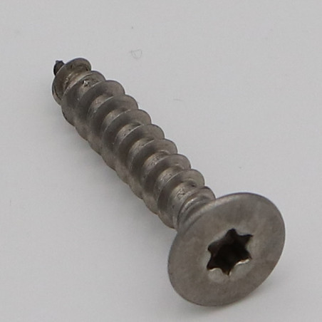1 x Agglo houtschroeven gefreesde kop TORX T40 10X100 gedeeltelijke draad RVS A2