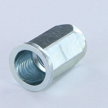 1 x Blindklinkmoeren zeshoekig platte kop M10X18 ACPTH 35 Wit verzinkt staal
