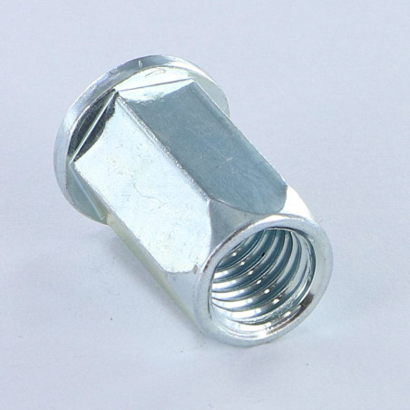 1 x Blindklinkmoeren zeshoekig platte kop M10X18 ACPTH 35 Wit verzinkt staal