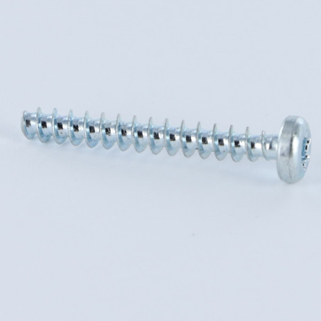 1 x PVC-schroeven cilindrische kop TORX T10 3X6 Wit verzinkt staal microschroeven