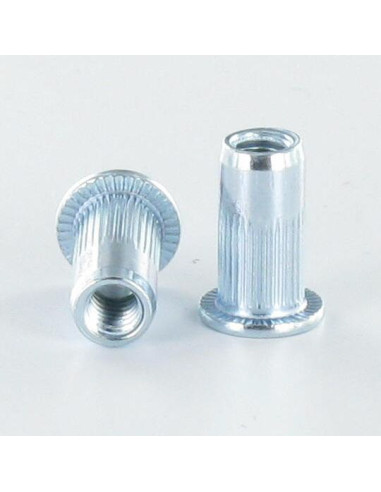 1 x Blindklinkmoeren platte kop M10X22 ACPC60...