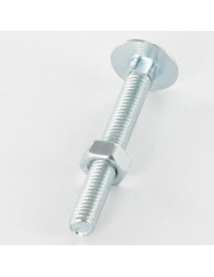 Bout (verkocht met moer) Slotbouten M12X160 volledige... 2