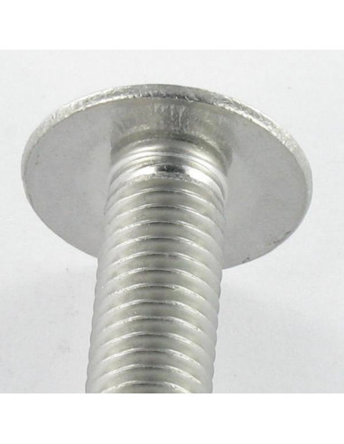 1 x Schroeven Bolkop breed rond split RVS A2...