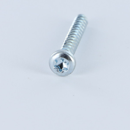 1 x PVC-schroeven cilindrische kop TORX T20 4X16 BOVENSTE T3 Wit verzinkt staal