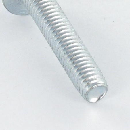 1 x Zelftappende schroef zeskantboutenTH kraagflens glad M10X25 Wit verzinkt staal