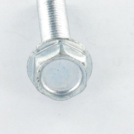 1 x Zelftappende schroef zeskantboutenTH kraagflens glad M8X30 Wit verzinkt staal