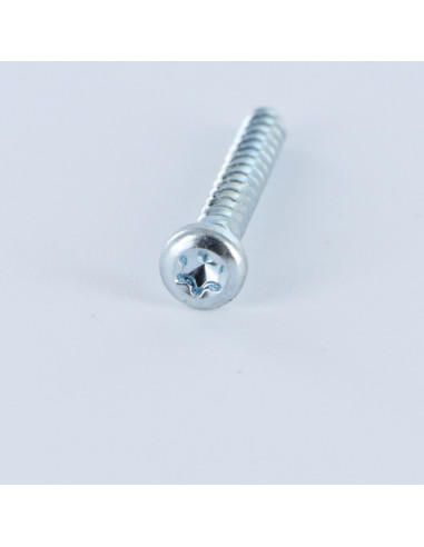 1 x PVC-schroeven cilindrische kop T7 2,5 x 12...