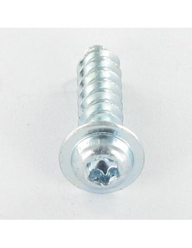 1 x PVC-schroeven cilindrische kop T7 2,5 x 12...
