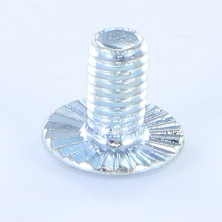 1 x Metalen schroeven bolkop split basis met kartelflens M6X10 Klasse 8.8 Wit verzinkt staal