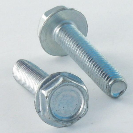 1 x Zelftappende schroef zeskantboutenTH kraagflens glad M8X16 Wit verzinkt staal