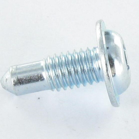 1 x Metalen schroeven brede ronde kop TORX T30 M6X16 Piloot uiteinde Wit verzinkt staal