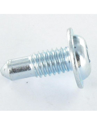 1 x Metalen schroeven brede ronde kop TORX T30...