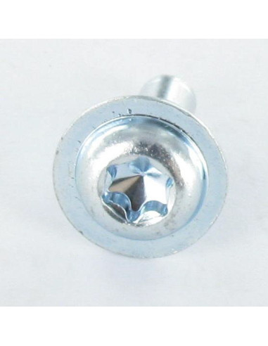 1 x Metalen schroeven brede ronde kop TORX T30...