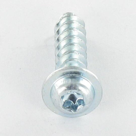 1 x PVC-schroeven cilindrische kop TORX T20 4X10 Wit verzinkt staal