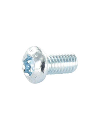 1 x Metalen schroeven bolkop TORX T30 M6X10...