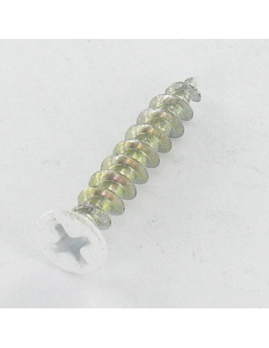1 x PVC-schroeven gefreesde bolkop phillips...