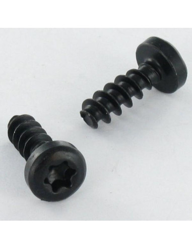 1 x PVC-schroeven cilindrische kop TORX T10 3X8...