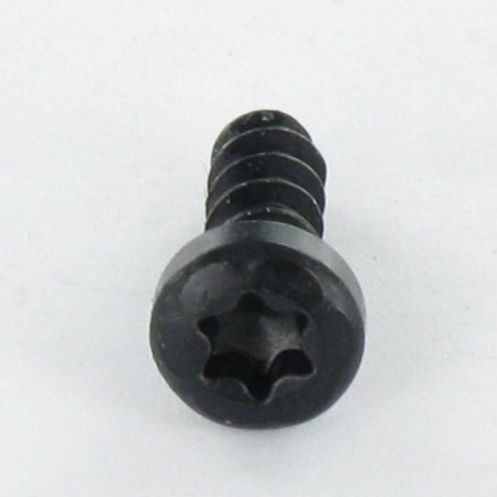 1 x PVC-schroeven cilindrische kop TORX T10 3X10 Zwart gegalvaniseerd staal microschroeven