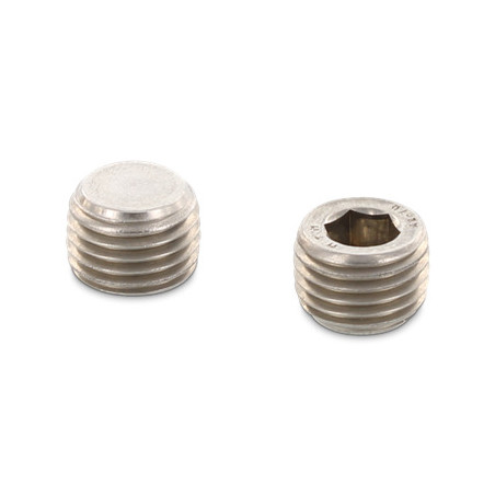 1 x Holle zeskantige mannelijke schroefplug 12X13.7 SW12 3/4" RVS A2