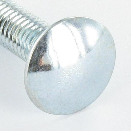 1 x Slotbouten M6X15 lage kraag 1.5 kopdiameter 13.5 Wit verzinkt staal