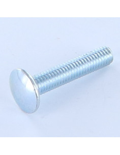Slotbouten M6X20 lage kraag 1.5 kopdiameter 13.5 Klasse...