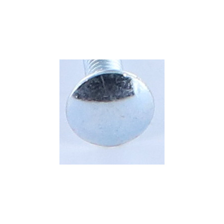 1 x Slotbouten M6X30 lage kraag 1.5 kopdiameter 13.5 Wit verzinkt staal