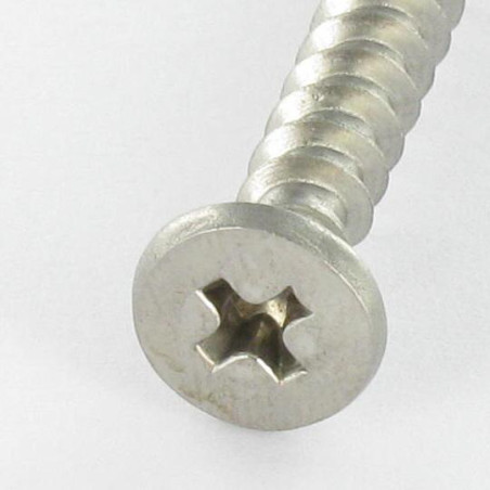 1 x PVC-schroeven RVS A2 cilindrische kop phillips 5X46