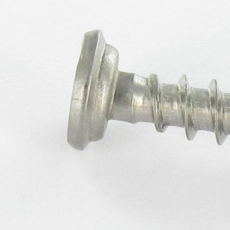 1 x PVC-schroeven RVS A2 cilindrische kop phillips 5X46