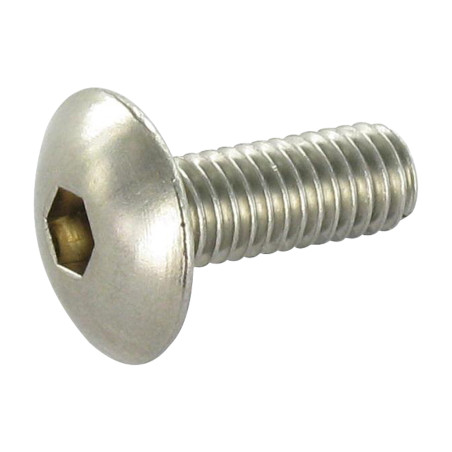 1 x Metalen schroeven Bolkop breed rond sleutel van 4 M6X16 RVS