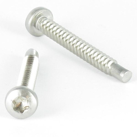 1 x Metaalplaatschroef bolvormige kopschroef 4.2X35 RVS A2 TORX T20 Piloot uiteinde