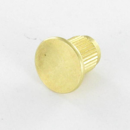 1 x Moer Hulsmoer kartelschreof Messing M8 kopdiameter 20 lengte onder de kop 16