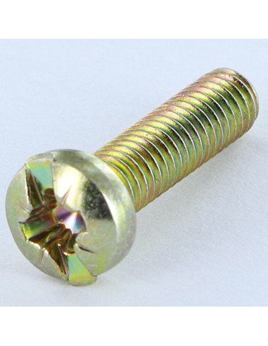 1 x Metalen schroeven bol cilinderkop Pozi met...