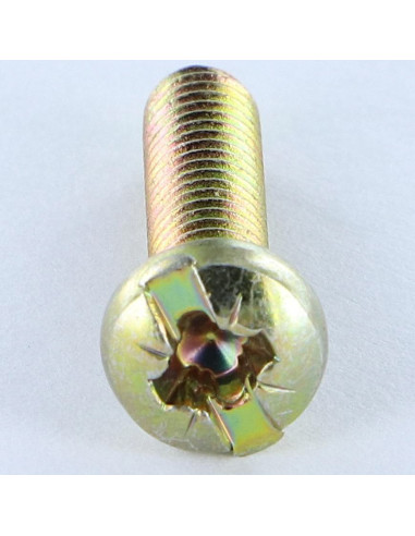 1 x Metalen schroeven bol cilinderkop Pozi met...