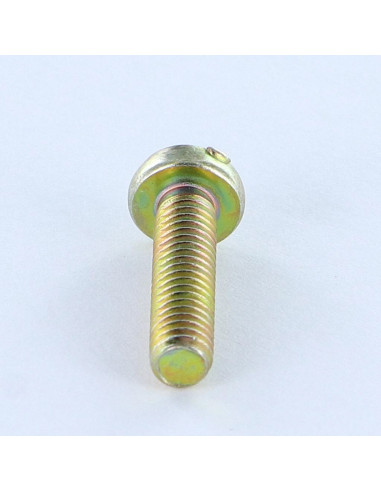 1 x Metalen schroeven bol cilinderkop Pozi met...