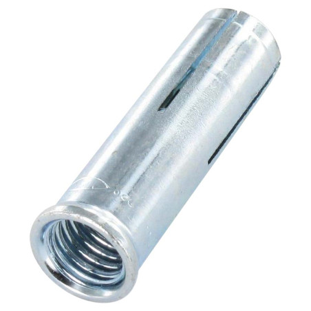 1 x Plug om op te slaan Fischer EAII M8X30 Wit verzinkt staal