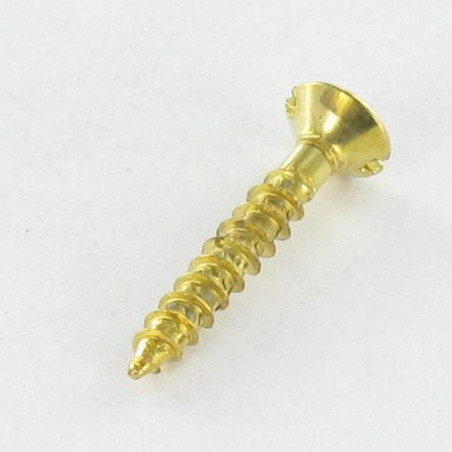 1 x Agglo houtschroeven gefreesde kop split 3X20 Messing staal microschroeven