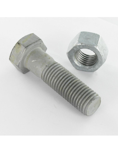 10 x Bout (verkocht met moer) zeskantkop TH...