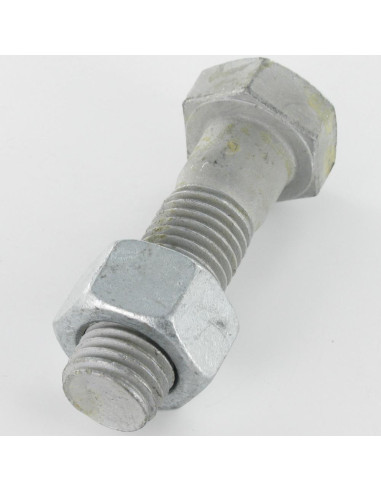 10 x Bout (verkocht met moer) zeskantkop TH...