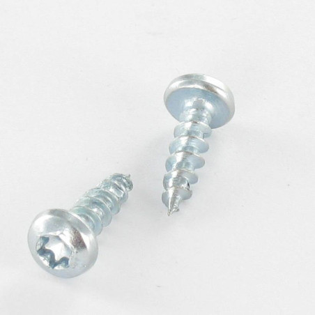1 x Agglo houtschroeven VBA3 ronde kop TORX 5X40 TORX T20 Wit verzinkt staal