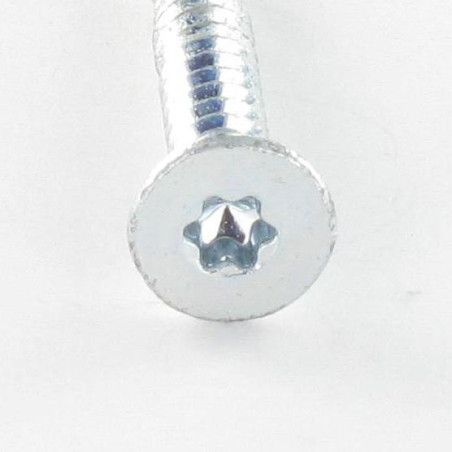 1 x Zelfborende schroef Bimetaal gefreesde kop kartel TORX T25 5.5X45