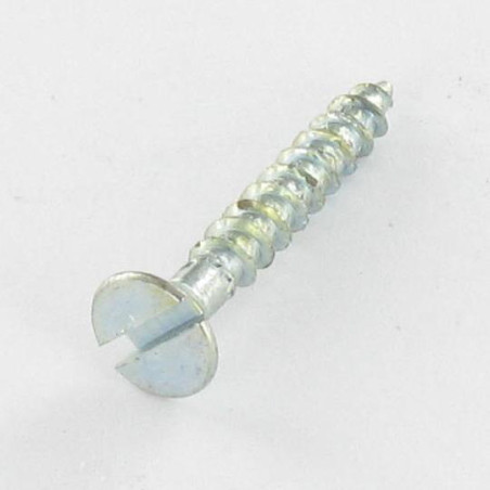 1 x Agglo houtschroeven gefreesde kop split 3X20 Wit verzinkt staal microschroeven